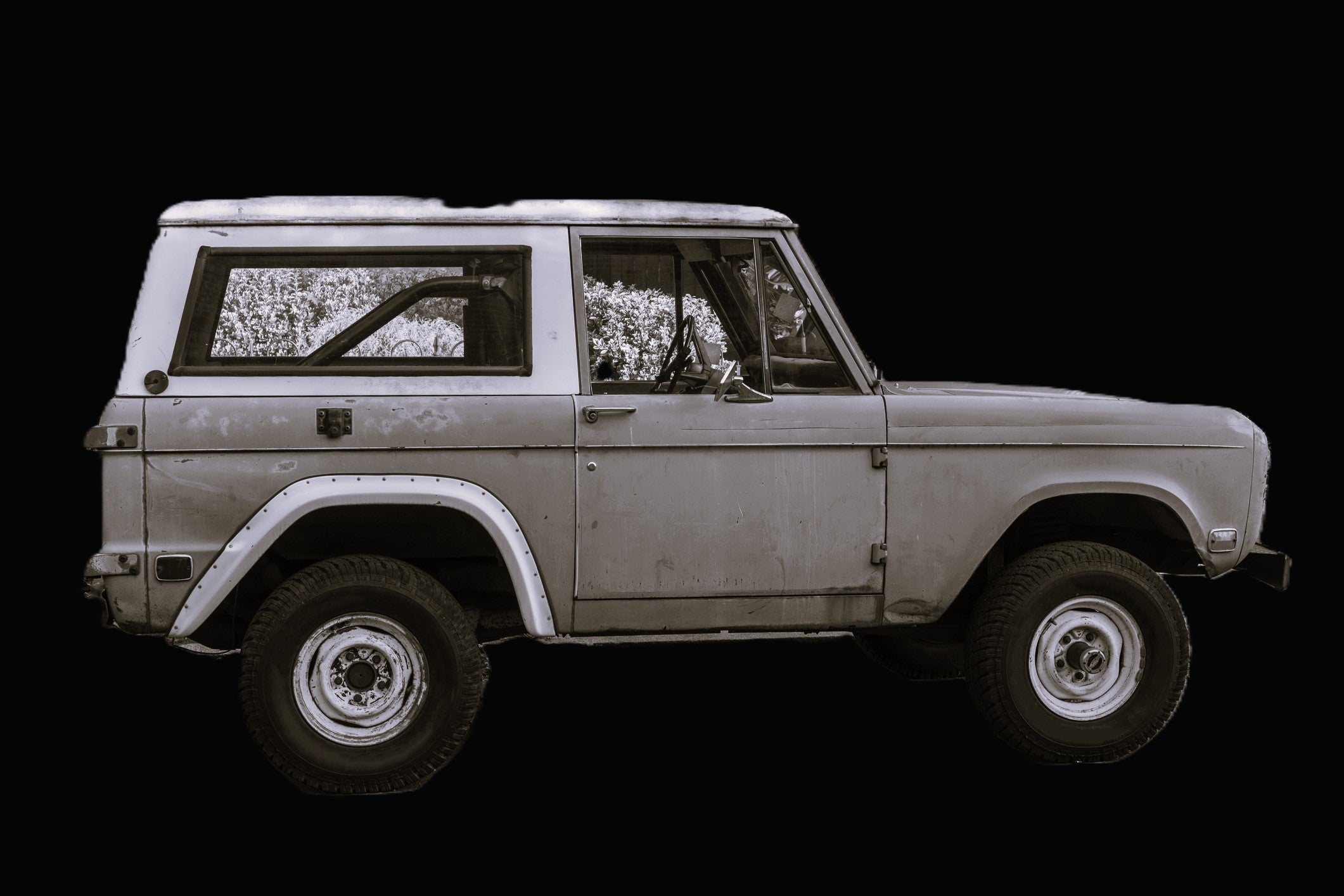 Ford Bronco 66-77 (Auto Glass)